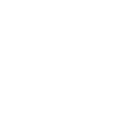 Logo Reset