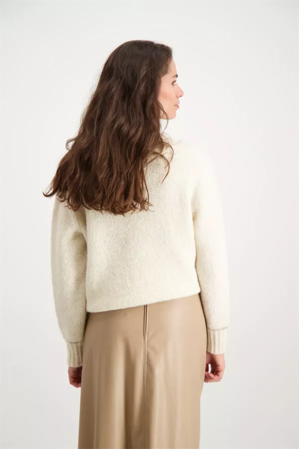 Pull laineux uni col V Signe Nature