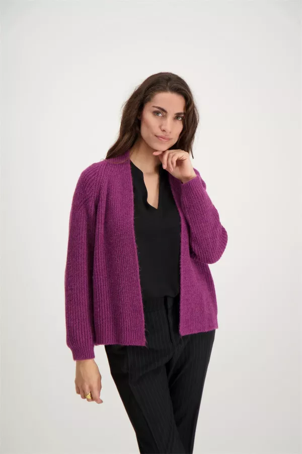 Cardigan uni en maille perlée manches longues Signe Nature