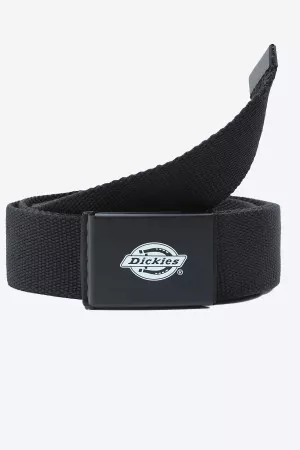 Ceinture en toile Dickies