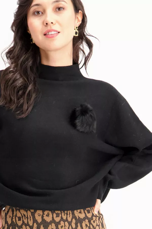 Pull manches chauve-souris avec broche à la poitrine Amélie & Amélie